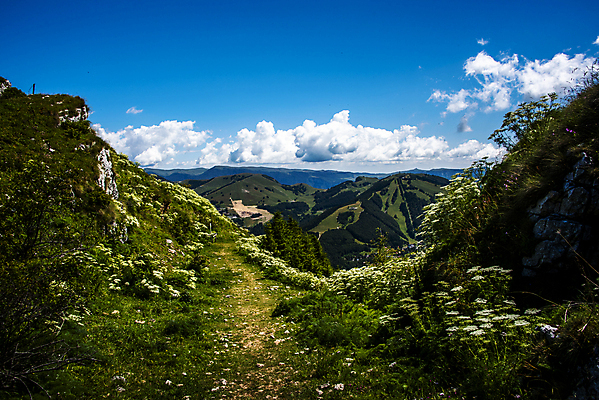 포토 JPG 해외이미지 나무 꽃 유럽 길 스포츠 여행 백그라운드 밭 자국 자연 하늘 산 파노라마 풍경 사람없음 야외 초록색 여름 파란색 환경 이탈리아 트래킹 하이킹 가을 시골 정상 리더 루트 절정 해외포토 식물 계절 나라 컬러 농업 레저 촬영기법 생태계 파일형식 이미지허브