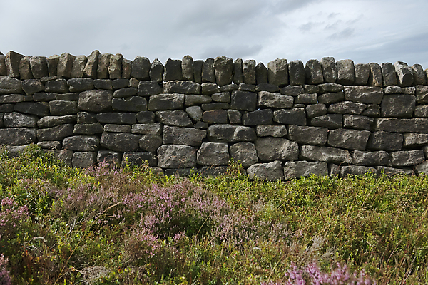 포토 JPG 해외이미지 모양 디자인 공원 벽 백그라운드 패턴 밭 추상 벽돌 건조 돌담 기술 석조 사람없음 옆모습 초록색 우주 어둠 회색 경계선 시골 플랫 혼합 질감 역동적 윤곽 지역 암초 내추럴 솜씨 옛날 전국 절정 불규칙 스타일 해외포토 공공시설 선 뷰포인트 컬러 컨셉 무늬 농업 담장 돌_바위 경계 파일형식 이미지허브