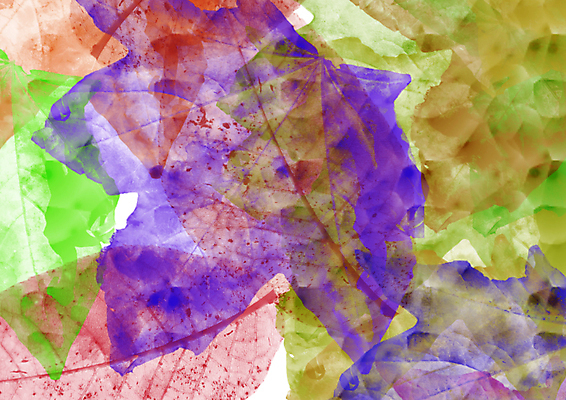 포토 JPG 해외이미지 식물 디자인 계절 백그라운드 단풍 잎 오렌지 일러스트 자연 바람 날씨 그림자 사람없음 빨간색 초록색 여름 빛 태양 뷰티 갈색 노란색 맑음 가을 나뭇가지 떨어짐 불기 11월 인도인 부드러움 10월 섞기 많음 해외일러스트 자연요소 외국인 나무 컬러 컨셉 과일 모션 동양인 감각 날짜 생태계 파일형식 이미지허브