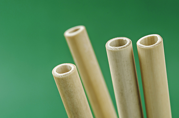 포토 JPG 해외이미지 실내 근접촬영 사람없음 자연보호 여러개 에코 친환경 에코라이프 친환경제품 초록배경 제로웨이스트 대나무빨대 해외포토 라이프스타일 뷰포인트 다수 백그라운드 자연 빨대 내부 초록색 환경 그린캠페인 보호 사회이슈 파일형식 이미지허브