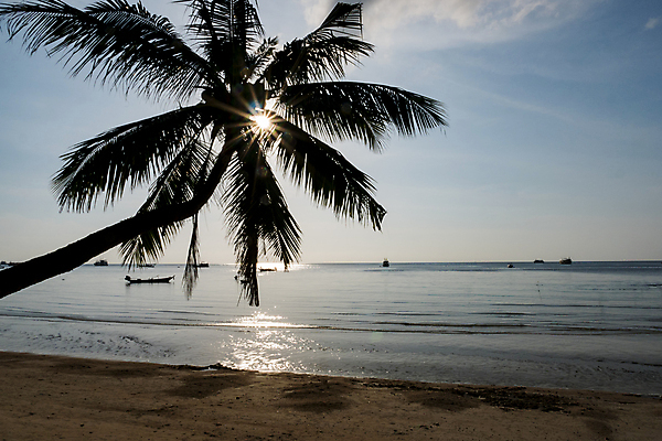 포토 JPG 해외이미지 실루엣 모래 바다 섬 여행 백그라운드 태국 자연 하늘 휴가 휴식 손바닥 동양인 사람없음 야외 물 태양 반사 일출 만 코코넛 파라다이스 해외포토 자연요소 손 아시아 컨셉 과일 촬영기법 인종 노을 생태계 파일형식 이미지허브