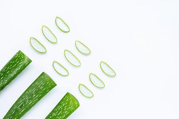 포토 JPG 해외이미지 스튜디오촬영 단면 실내 사람없음 하이앵글 뷰티 흰배경 알로에 해외포토 식물 뷰포인트 백그라운드 내부 흰색 파일형식 이미지허브