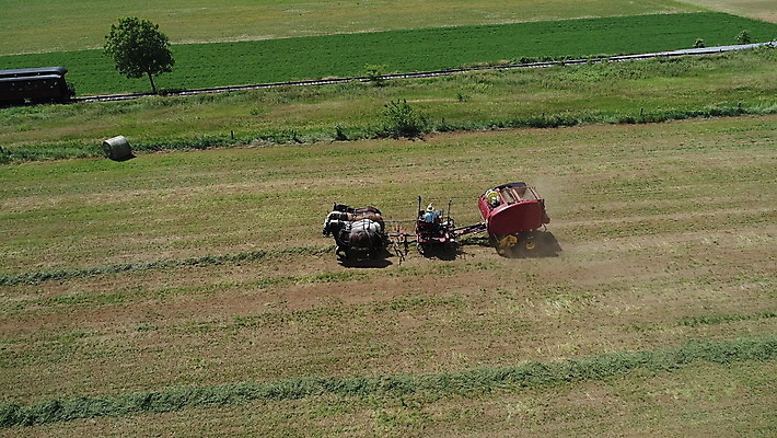 포토 JPG 해외이미지 식물 전통 음식 밭 농업 자연 안테나 사람 풍경 사람없음 야외 초록색 농작물 농장 농경지 흙 수확 가을 시골 업무 당기기 농부 땅 복고 트랙터 드론 밭일 쟁기 조감도 해외포토 직업 계절 산업 컬러 통신 모션 작업 농기계 생태계 특수차량 파일형식 이미지허브