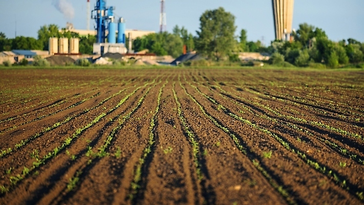 포토 JPG 해외이미지 식물 계절 산업 백그라운드 잎 밭 농업 자연 하늘 옥수수 사람없음 초록색 파란색 농작물 햇빛 농장 농경지 일출 맑음 봄 수확 성장 시골 낟알 땅 시리얼 유기농 밭일 줄서기 세련 해외포토 웰빙 음식 컬러 모션 날씨 곡류 태양 노을 생태계 파일형식 이미지허브