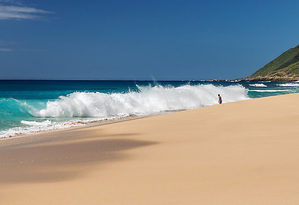 포토 JPG 해외이미지 파도 바다 겨울 자연 조류 사람 사람없음 야외 물 힘 거친 서핑 떨어짐 하와이 분무기 폭풍우 힘찬 스플래쉬 해외포토 자연요소 동물 계절 컨셉 미국 수상스포츠 비_날씨 자연재해 생태계 파일형식 이미지허브