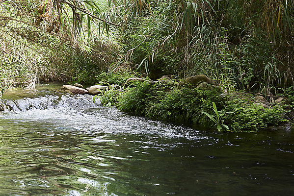 포토 JPG 해외이미지 백그라운드 겨울 채소 자연 추상 이끼 사람없음 초록색 물 파란색 강 뷰티 환경 봄 폭포 촉촉함 다양 신선 투명 개울 숲 크리스탈 실크 뿌리기 순수 분수 생태계 내추럴 루트 양치류 엘리먼트 채널 공급 해외포토 자연요소 계절 컬러 다수 컨셉 무늬 모션 젖음 직물 광석 파일형식 이미지허브