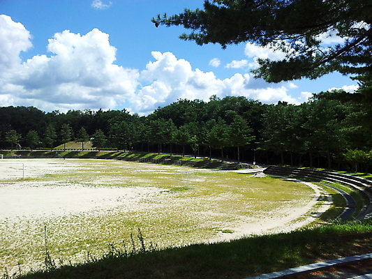 포토 JPG 해외이미지 나무 식물 계절 공원 백그라운드 잎 자연 사람없음 야외 목재 초록색 빛 뷰티 환경 정원 봄 신선 그늘 장면 내추럴 그리너리 해외포토 공공시설 컬러 재료 생태계 파일형식 트랜드컬러 이미지허브