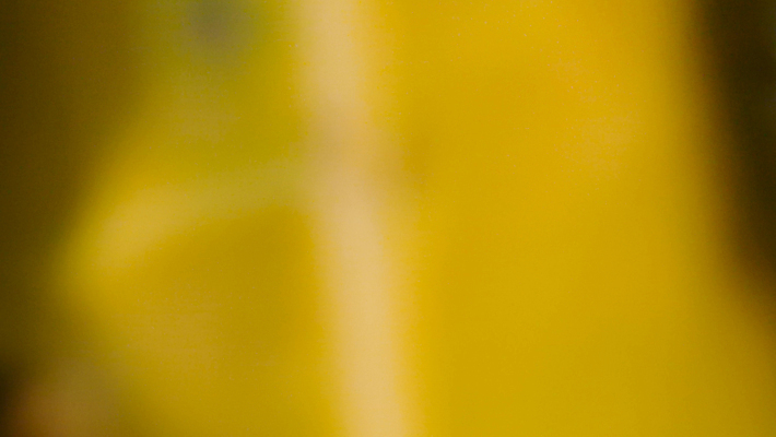 포토 JPG 해외이미지 템플릿 디자인 배너 포스터 벽 백그라운드 컨셉 패턴 오렌지 자연 벽지 추상 따뜻함 미술 경사 사람없음 그래픽 장식 빛 컬러풀 태양 뷰티 노란색 우주 맑음 검은색 공백 신용카드 황금 우아함 매끈함 질감 부드러움 내추럴 블러 스타일 효과 해외포토 자연요소 컬러 무늬 과일 날씨 문화예술 금융 감각 생태계 파일형식 이미지허브