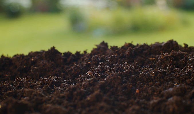 포토 JPG 해외이미지 동물 지구 야생동물 분홍색 백그라운드 모션 자연 표면 생물 사람없음 빨간색 카메라 환경 흙 젖음 닫기 땅 유기농 질감 생물학 먼지 느림 리빙 내추럴 거름 기어가기 땅바닥 땅파기 바이오 생존 해외포토 웰빙 교육 컬러 바닥 전자제품 생태계 파일형식 이미지허브