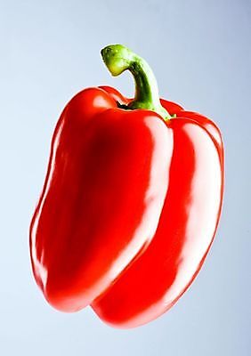 포토 JPG 해외이미지 식물 음식 채소 오렌지 재료 고추 피망 파프리카 건강 사람없음 빨간색 초록색 컬러풀 노란색 쌓기 주방 식당 정원 저녁식사 봄 활발 샐러드 추위 신선 뜨거움 사발 맛 자르기 다발 메뉴 매움 날것 후추 성분 건강식 숙성 정물화 채식주의자 해외포토 계절 컬러 컨셉 과일 모션 상점 식사 사기그릇 향신료 그림 채식 파일형식 이미지허브