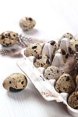 포토 JPG 해외이미지 전통 디자인 계절 음식 백그라운드 패턴 재료 자연 휴가 부활절 건강 사람없음 목재 장식 상자 농장 갈색 계란 축제 치킨 흰색 시골 축하 신선 그룹 아침식사 상품 작음 컨테이너 먹기 심볼 깃털 유기농 팩 내추럴 단백질 메추리 콘크리트 해외포토 나무 웰빙 기념일 산업 컬러 컨셉 무늬 농업 모션 알 식사 화장품 크기 생태계 닭고기요리 영양소 파일형식 이미지허브