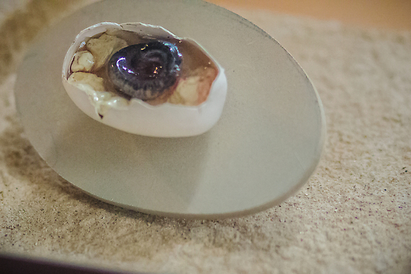 포토 JPG 해외이미지 동물 공원 백그라운드 파충류 자연 추상 사람없음 반려동물 머리 계란 흰색 아기 뱀 둥지 위험 작음 그림 육식동물 조형 부화 나쁜 고립 곰팡이 이국적 전국 많음 해외포토 공공시설 컬러 컨셉 무늬 사람 신체부위 알 크기 생태계 파일형식 이미지허브