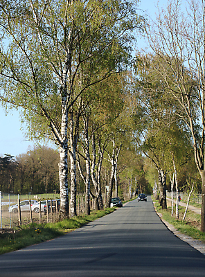 포토 JPG 해외이미지 구름 라이프스타일 응시 남자 행복 도로 스포츠 여행 포즈 비즈니스 창문 교통시설 모션 자동차 자연 하늘 실내 관리 안전 사람 앉기 성인 사람없음 야외 선글라스 태양 일출 일몰 운전 자유 판넬 바퀴 고속도로 운전사 땅 속도 추적 자동 해외포토 자연요소 직업 시선 감정 안경 길 육상교통 교통 컨셉 내부 생활 노을 시설 생태계 파일형식 이미지허브
