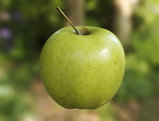 포토 JPG 해외이미지 라이프스타일 길 음식 백그라운드 밭 농업 다이어트 과일 재료 자연 건강 미술 사람없음 초록색 빛 활발 흰색 신선 시장 달콤 맛 사과 자르기 먹기 싱글 상쾌 유기농 날것 클립 내추럴 고립 깊이 채식주의자 해외포토 웰빙 감정 산업 컬러 컨셉 모션 문화예술 생활 생태계 채식 파일형식 이미지허브