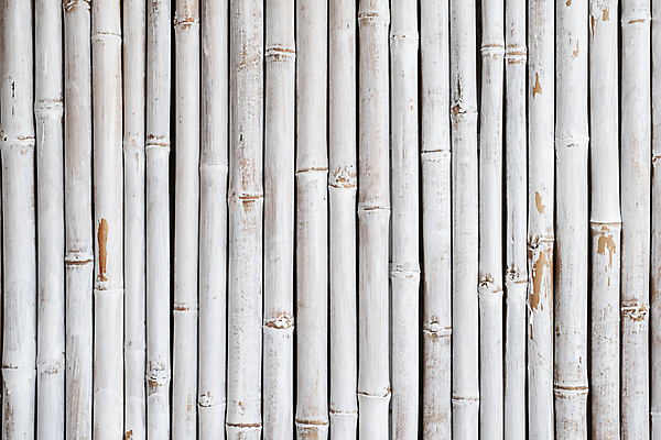 포토 JPG 해외이미지 나무 식물 아시아 선 벽 백그라운드 패턴 자연 동양인 사람없음 목재 장식 울타리 정원 일본 중국 줄무늬 회색 성장 흰색 나뭇가지 그리기 대나무 유기농 질감 내추럴 그런지 해외포토 웰빙 나라 컬러 무늬 재료 모션 인종 담장 생태계 파일형식 이미지허브