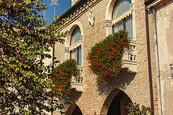 포토 JPG 해외이미지 주간 나무 꽃 유럽풍경 하늘 유럽건축 사람없음 야외 건물 이탈리아 담쟁이덩굴 야외테라스 해외포토 자연요소 식물 건축물 유럽 서양건축 풍경 발코니 덩굴 파일형식 이미지허브