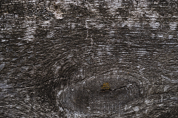 포토 JPG 해외이미지 나무 디자인 벽 백그라운드 패턴 자연 벽지 표면 날씨 추상 사람없음 목재 장식 울타리 갈색 어둠 손상 회색 수확 골동품 시골 판넬 거친 균열 널 낟알 묘사 질감 복고 내추럴 그런지 엘리먼트 옛날 중고 노화 해외포토 식물 컬러 컨셉 무늬 농업 재료 모션 담장 생태계 파일형식 이미지허브