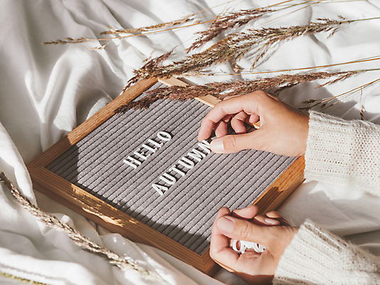 포토 JPG 해외이미지 식물 손 영어 액자 실내 액자틀 들기 신체부위 장식 잡기 놓기 해외포토 문자 모션 틀 사람 내부 파일형식 이미지허브