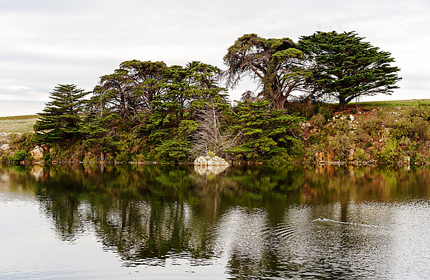 포토 JPG 해외이미지 나무 공원 야생동물 여행 자연 조류 하늘 사람없음 야외 물 강 반사 평화 환경 침묵 흐름 시골 입 호주 장면 암초 내추럴 빅토리아 영원 오지 잔물결 해외포토 자연요소 식물 동물 공공시설 물결 컨셉 신체부위 소리 오세아니아 생태계 파일형식 이미지허브