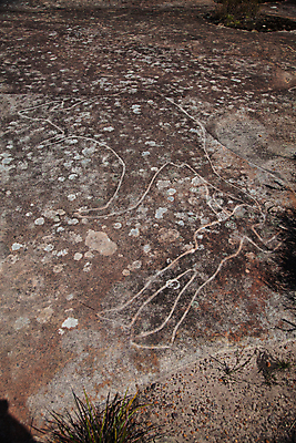 포토 JPG 해외이미지 디자인 종이 벽 백그라운드 패턴 자연 벽지 표면 추상 사람없음 검은색 페인트 회색 흰색 거친 질감 시멘트 그런지 옛날 해외포토 컬러 무늬 생태계 파일형식 이미지허브