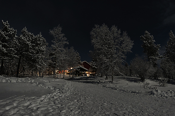 포토 JPG 해외이미지 나무 계절 별 호수 백그라운드 크리스마스 겨울 자연 하늘 호텔 주택 핀란드 풍경 사람없음 야외 파란색 빛 컬러풀 노란색 냉동 활발 추위 백발 달 흰색 야간 숲 북극 달빛 서리 환영 내추럴 눈내림 가문비나무 해외포토 자연요소 식물 헤어스타일 기념일 컬러 컨셉 숙소 눈_날씨 북유럽 건물 극지방 생태계 파일형식 이미지허브