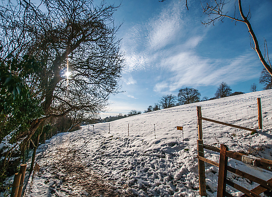 포토 JPG 해외이미지 나무 계절 겨울 밭 하늘 사람없음 목욕 추위 겨울풍경 해외포토 식물 농업 풍경 청결 파일형식 이미지허브