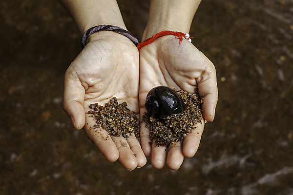 포토 JPG 해외이미지 나무 동물 라이프스타일 손 응시 공원 교육 행복 과학 모션 태국 자연 휴식 나선형 실험 사람없음 야외 초록색 봄 유치원 탐험 표현 잡기 체험 흥분 탐사 느림 발견 내추럴 끈적임 해외포토 식물 시선 계절 공공시설 감정 아시아 컬러 컨셉 무늬 생활 신체부위 생태계 파일형식 이미지허브