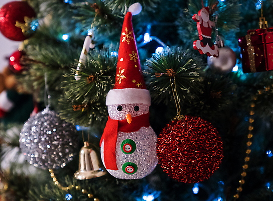 포토 JPG 해외이미지 나무 전통 디자인 계절 백그라운드 크리스마스 겨울 공 눈사람 휴가 새로움 사람없음 장식 빨간색 초록색 빛 장식볼 흰색 나뭇가지 축하 소나무 황금 은색 수집 연도 심볼 오브젝트 전나무 엘리먼트 해외포토 식물 기념일 컬러 컨셉 파일형식 이미지허브