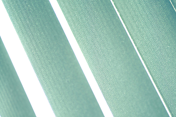 포토 JPG 해외이미지 디자인 백그라운드 패턴 추상 사람없음 장식 세로 줄무늬 질감 그런지 해외포토 무늬 파일형식 이미지허브