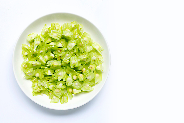 포토 JPG 해외이미지 접시 사람없음 신선 흰배경 유기농 모링가 해외포토 식기 웰빙 백그라운드 씨앗 흰색 파일형식 슈퍼푸드 이미지허브