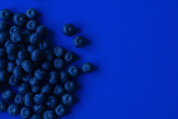 포토 JPG 해외이미지 디자인 음식 백그라운드 컨셉 과일 사람없음 파란색 어둠 블루베리 해외포토 컬러 파일형식 이미지허브