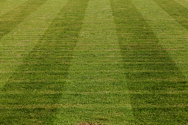 포토 JPG 해외이미지 선 스포츠 백그라운드 밭 공 자연 놀이 잔디 사람없음 초록색 축구 경기장 장비 게임 모서리 발사 질감 골 법정 해외포토 식물 컬러 농업 스포츠시설 구기 생태계 파일형식 이미지허브