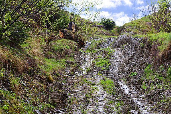 포토 JPG 해외이미지 구름 도로 여행 자연 하늘 휴가 산 파노라마 그림자 풍경 경사 사람없음 야외 가로 초록색 파란색 계곡 트래킹 젖음 시골 숲 땅 언덕 천국 굴곡 깨짐 블러 우크라이나 흙길 수평선 선두 해외포토 자연요소 유럽 길 컬러 컨셉 교통시설 레저 촬영기법 흙 생태계 파일형식 이미지허브
