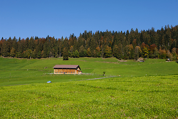 포토 JPG 해외이미지 나무 공원 여행 밭 농업 자연 하늘 산 주택 사람없음 야외 건물 초록색 파란색 햇빛 농가 농장 농경지 노란색 계곡 맑음 일몰 봄 이탈리아 농촌 시골 재산 땅 스위스 언덕 내추럴 토스카나 수평선 해외포토 식물 건축물 계절 공공시설 유럽 산업 컬러 날씨 금융 태양 노을 생태계 파일형식 이미지허브
