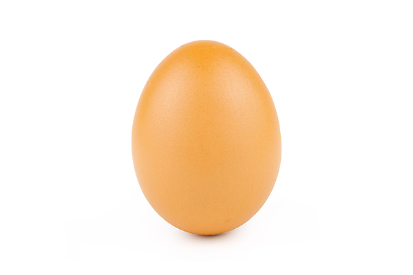 포토 JPG 해외이미지 동물 1 길 음식 백그라운드 곡선 다이어트 재료 자연 부활절 건강 요리 서기 사람없음 세로 농장 갈색 노란색 우주 계란 치킨 껍질 흰색 신선 아침식사 상품 자르기 먹기 가득함 오브젝트 싱글 유기농 날것 노른자 고립 단백질 삶기 생식 암탉 취급주의 해외포토 웰빙 기념일 선 컬러 농업 모션 경고 알 식사 닭 암컷 생태계 닭고기요리 영양소 파일형식 이미지허브