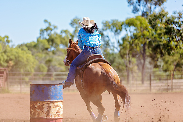 포토 JPG 해외이미지 동물 라이프스타일 문화 스포츠 포즈 모션 통 이벤트 사람없음 달리기 숫자 가축 경쟁 경기장 공연 시골 레이싱 승마 닫기 호주 승차 8 먼지 갈기 안장 로데오 라이더 방목장 서쪽 오지 해외포토 문자 컨셉 스포츠시설 시합 생활 오세아니아 방향 파일형식 이미지허브