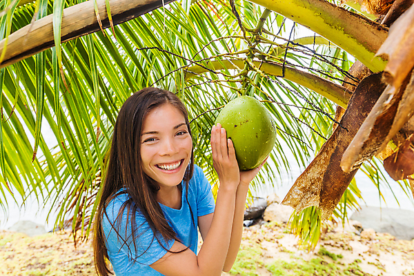 포토 JPG 해외이미지 나무 라이프스타일 행복 아시아 음료 음식 여행 과일 태국 휴가 매달리기 손바닥 한명 사람 동양인 물 농장 여행객 견과류 신선 잡기 농부 수집 먹기 유기농 하와이 코코넛 폴리네시아 내추럴 프랑스어 마이애미 밭일 플로리다 해외포토 자연요소 식물 직업 문자 1 손 웰빙 감정 나라 농업 모션 인종 생활 미국 오세아니아 파일형식 이미지허브