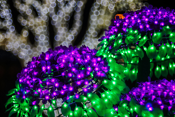 포토 JPG 해외이미지 디자인 백그라운드 크리스마스 일러스트 벽지 추상 휴가 불꽃 전등 기념 미술 사람없음 장식 파란색 빛 반짝임 컬러풀 노란색 파티 우주 검은색 축제 어둠 활발 축하 화려 황금 고급 야간 소프트포커스 질감 보케 먼지 공상 마법 광 블러 해외일러스트 자연요소 기념일 컬러 컨셉 무늬 모션 불 문화예술 조명 촬영기법 이벤트 파일형식 이미지허브