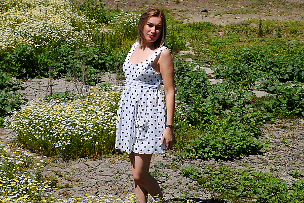 포토 JPG 해외이미지 식물 모델 라이프스타일 드레스 여자 꽃 행복 얼굴 꽃다발 결혼 밭 자연 놀이 미소 사람 성인 사람없음 야외 초록색 여름 금발 뷰티 노란색 봄 흰색 시골 데이지 양귀비 베일 내추럴 캐모마일 해외포토 헤어스타일 옷 계절 감정 컬러 농업 표정 이벤트 생활 신체부위 허브 생태계 파일형식 이미지허브