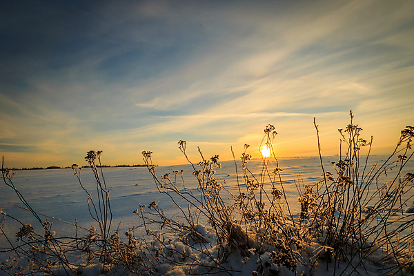 포토 JPG 해외이미지 나무 구름 공원 분홍색 백그라운드 크리스마스 겨울 밭 자연 하늘 아침 그림자 풍경 사람없음 빛 햇빛 태양 뷰티 일출 환경 맑음 냉동 얼음 일몰 새벽 추위 흰색 소나무 황금 저녁 숲 서리 장면 눈내림 해외포토 주간 자연요소 식물 계절 공공시설 기념일 컬러 농업 날씨 눈_날씨 노을 야간 생태계 파일형식 이미지허브