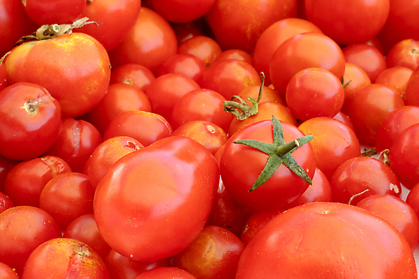 포토 JPG 해외이미지 길 음식 백그라운드 농업 다이어트 토마토 채소 과일 재료 자연 건강 요리 사람없음 빨간색 초록색 농작물 컬러풀 정원 이탈리아 샐러드 수확 신선 체리 그룹 변화 시장 맛 떨어짐 다발 먹기 가득함 상쾌 유기농 날것 모음 바질 고립 영양분 채식주의자 해외포토 웰빙 감정 유럽 산업 컬러 컨셉 모션 생태계 채식 파일형식 이미지허브