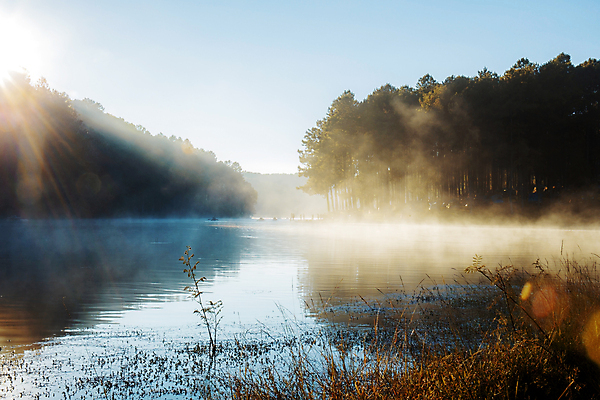 포토 JPG 해외이미지 나무 계절 공원 실루엣 호수 여행 백그라운드 겨울 태국 자연 하늘 휴가 휴식 산 텐트 그림자 풍경 사람없음 야외 물 빛 강 햇빛 뷰티 일출 어둠 일몰 캠핑 안개 저수지 소나무 숲 시원함 내추럴 스모그 전국 해외포토 자연요소 식물 공공시설 아시아 컨셉 레저 날씨 촬영기법 캠핑도구 태양 노을 생태계 파일형식 이미지허브