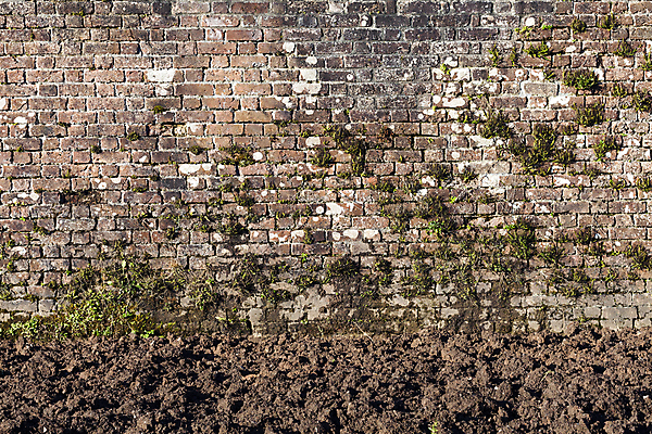 포토 JPG 해외이미지 외관 산업 벽 백그라운드 패턴 건축양식 표면 날씨 추상 벽돌 건설업 돌담 사람없음 건물 가로 빨간색 공백 블록 도시 큼 타일 고민 질감 시멘트 직사각형 고체 그런지 옛날 지속성 콘크리트 카피스페이스 해외포토 도형 건축물 건축 감정 컬러 무늬 담장 돌_바위 크기 파일형식 이미지허브