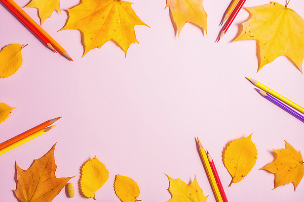 포토 JPG 해외이미지 식물 디자인 계절 백그라운드 컨셉 단풍 잎 자연 탁자 건강 종류 사람없음 목재 장식 갈색 노란색 우주 공백 수확 시골 그룹 유기농 질감 추수감사절 그런지 카피스페이스 해외포토 나무 웰빙 기독교 컬러 가구 농업 재료 생태계 파일형식 이미지허브