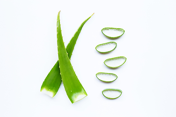 포토 JPG 해외이미지 스튜디오촬영 단면 실내 사람없음 뷰티 흰배경 알로에 엘리먼트 해외포토 식물 백그라운드 내부 흰색 파일형식 이미지허브