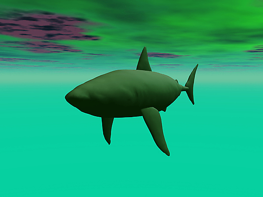 포토 JPG 해외이미지 사람없음 그래픽 수영 회색 위험 육식동물 지느러미 상어 해외포토 동물 컬러 컨셉 어류 수상스포츠 파일형식 이미지허브