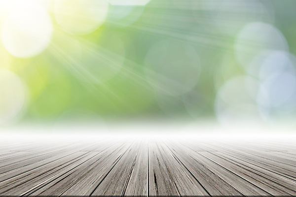 포토 JPG 해외이미지 디자인 공원 백그라운드 잎 자연 탁자 추상 바닥 사람없음 목재 초록색 여름 빛 햇빛 태양 우주 정원 봄 판넬 상품 소프트포커스 질감 보케 장면 블러 해외포토 자연요소 나무 식물 계절 공공시설 컬러 가구 무늬 재료 촬영기법 생태계 파일형식 이미지허브