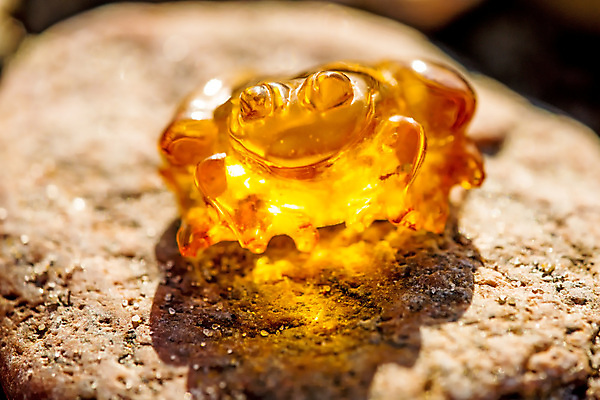 포토 JPG 해외이미지 자연 사람없음 빛 주황색 투명 보석 화석 앰버 해외포토 컬러 광석 생태계 파일형식 이미지허브