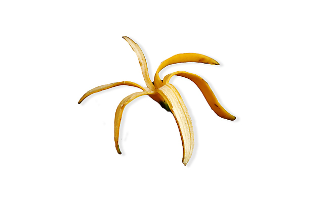 포토 JPG 해외이미지 디자인 음식 분홍색 백그라운드 컨셉 패턴 다이어트 과일 부분 자연 벽지 추상 아이디어 바나나 건강 그림자 사람없음 장식 가로 파란색 컬러풀 노란색 신선 그룹 달콤 맛 상쾌 유기농 질감 레이아웃 복고 강렬 숙성 이국적 채식주의자 파스텔톤 스타일 많음 미니멀 해외포토 웰빙 감정 컬러 무늬 생태계 채식 파일형식 이미지허브