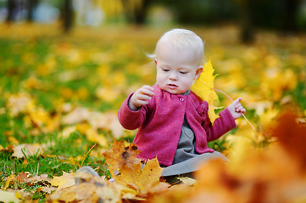 포토 JPG 해외이미지 백인 계절 공원 딸 행복 어린이 잎 자연 놀이 친절 건강 한명 야외 빨간색 초록색 치마 컬러풀 금발 노란색 재킷 활발 아기 달콤 숲 작음 9월 11월 속도 10월 걸음마 스타일 해외포토 서양인 식물 1 헤어스타일 공공시설 감정 컬러 컨셉 가족 모션 하의 사람 외투 날짜 맛 크기 생태계 파일형식 이미지허브